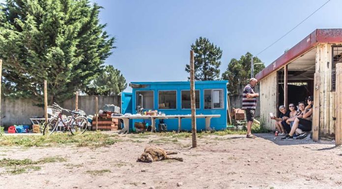 Open Day foi um dia positivo para a CRAPAA Gazeta das Caldas