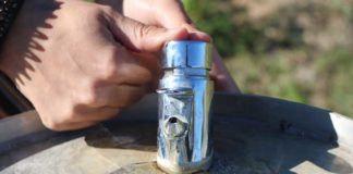 Abraço Verde - Gazeta das Caldas