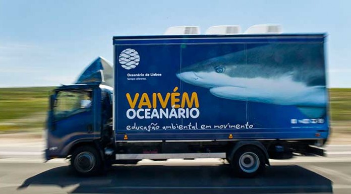 O Vaivém do Oceanário vai estar na praia de Paredes de Vitória Vaivém do Oceanário - Gazeta das Caldas