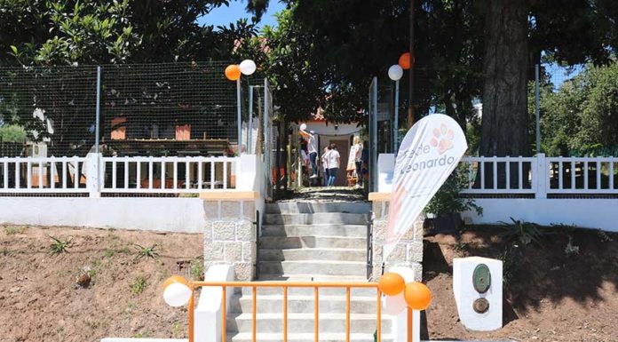 Rede Leonardo recuperou antiga escola primária para ser canil Gazeta das Caldas