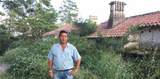 Mata das Mestras – quando o Estado não cuida do que é seu Gazeta das Caldas