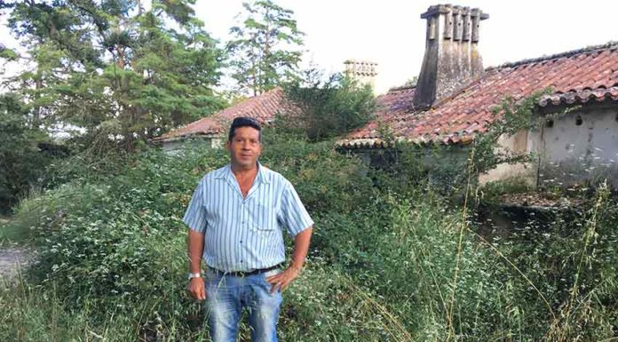 Mata das Mestras – quando o Estado não cuida do que é seu Gazeta das Caldas