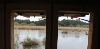 O Ontem&Hoje do Paul da Tornada – desde zona poluída a reserva natural Gazeta das Caldas