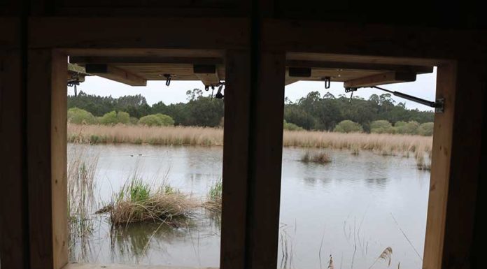 O Ontem&Hoje do Paul da Tornada – desde zona poluída a reserva natural Gazeta das Caldas