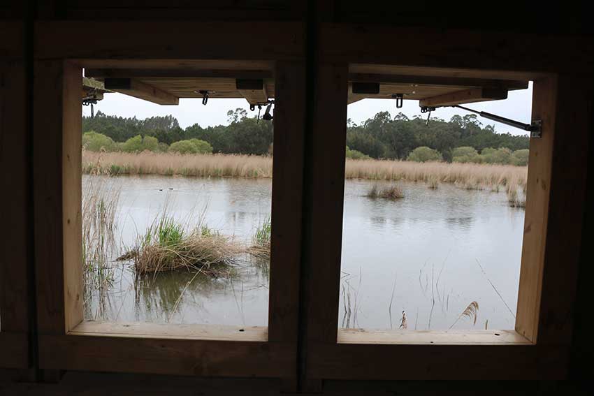 O Ontem&Hoje do Paul da Tornada – desde zona poluída a reserva natural