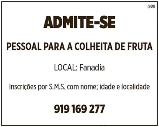 Gazeta das Caldas