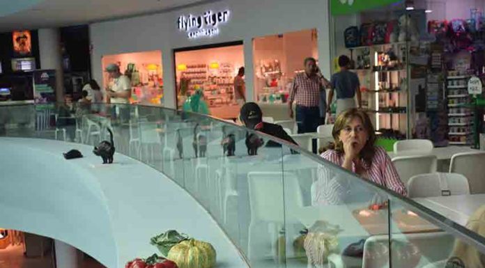 Peças de Bordallo Pinheiro decoram centro comercial Gazeta das Caldas