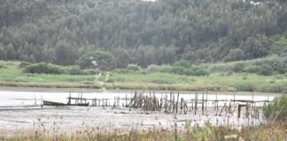 Dragagens na Lagoa só terão início em Abril de 2019 Gazeta das Caldas - Lagoa de Óbidos