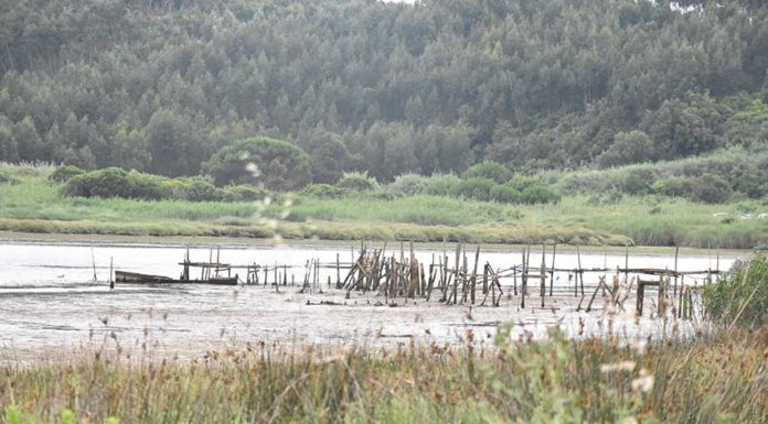 Dragagens na Lagoa só terão início em Abril de 2019 Gazeta das Caldas - Lagoa de Óbidos