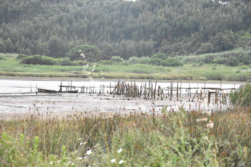 Dragagens na Lagoa só terão início em Abril de 2019