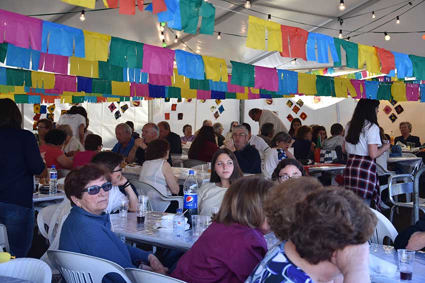 Gazeta das Caldas - Misericordia