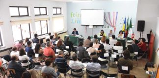 Todos os partidos contra a situação “crítica e calamitosa” da praga de moscas em Óbidos Gazeta das Caldas