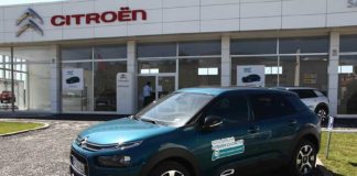 Chama-se Cactus, mas é suave como uma nuvem Gazeta das Caldas