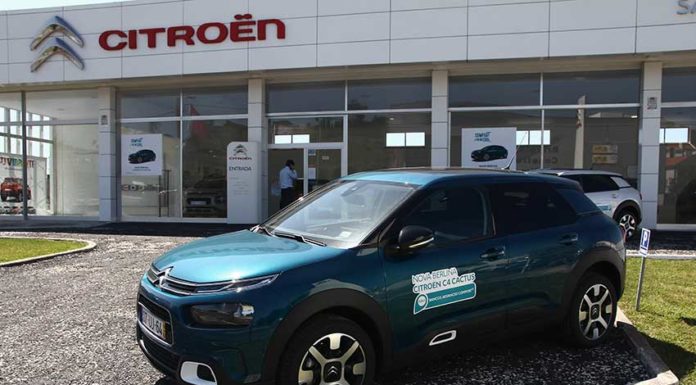 Chama-se Cactus, mas é suave como uma nuvem Gazeta das Caldas