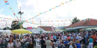 Salir de Matos deu-se a conhecer pelo quinto ano Gazeta das Caldas