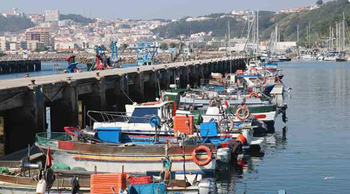 Coronavírus: Ministério do Mar assegura apoios à pesca Gazeta das Caldas