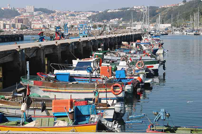 Ministra do Mar diz que parecer do ICES não implica proibição da pesca da sardinha