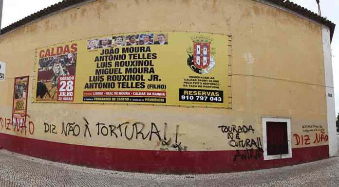 Homicídio no Chão da Parada punido com 20 anos de prisão Gazeta das Caldas