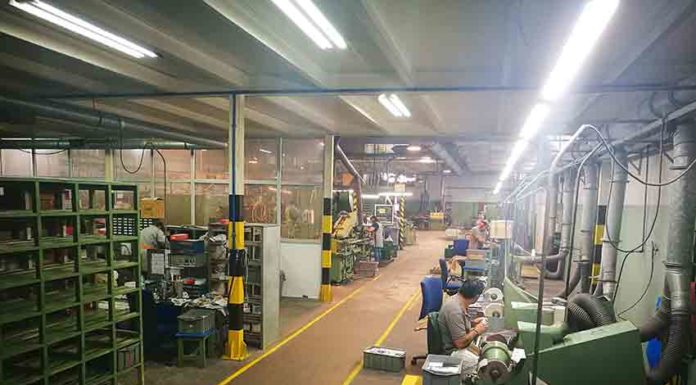 Nicul investe 1,8 milhões de euros nas Relvas Gazeta das Caldas