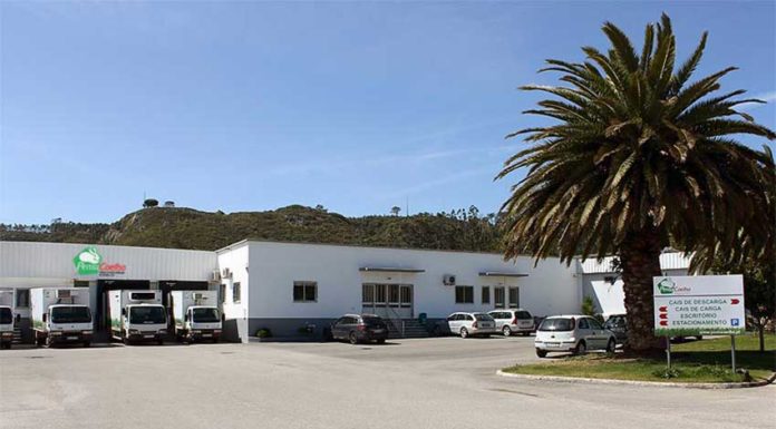 Maus cheiros afectam a população do Pó há quatro anos Gazeta das Caldas