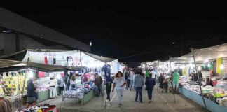 Alcobaça: Feira de S. Bernardo com concertos no Estádio Gazeta das Caldas