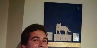 Ivo Correia está a criar uma colecção de fachadas de prédios caldenses Gazeta das Caldas