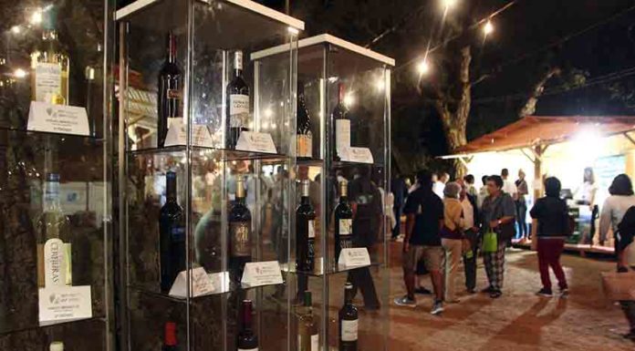 Festival do Vinho no Bombarral teve cerca de 35 mil visitantes Gazeta das Caldas