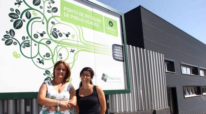 Pneugreen cria estrado inovador para espaços públicos Gazeta das Caldas