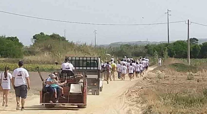 Vamos continuar a caminhar Gazeta das Caldas