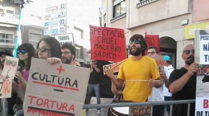 “A tourada é um espectáculo medieval de tortura” Gazeta das Caldas