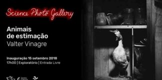 Valter Vinagre mostra animais de estimação em Coimbra Gazeta das Caldas