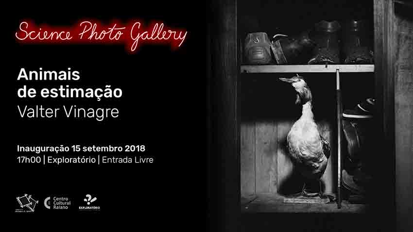 Valter Vinagre mostra animais de estimação em Coimbra