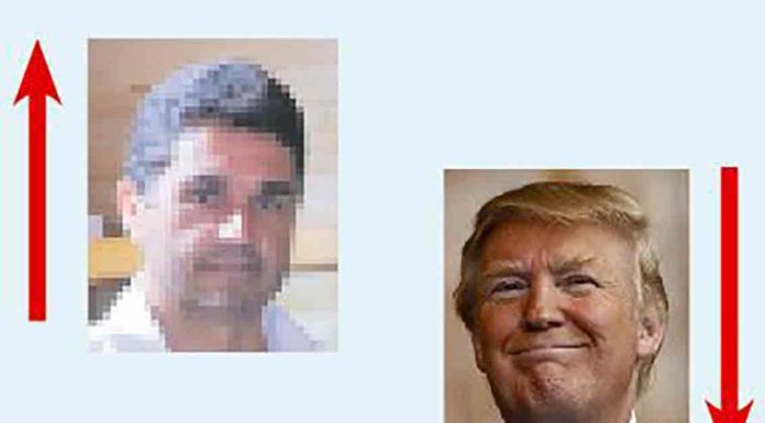 A semana do Zé Povinho Gazeta das Caldas