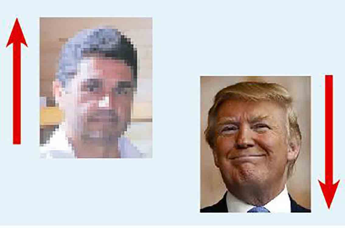 A semana do Zé Povinho