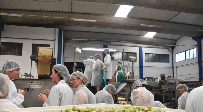 Quatro empresas da região marcam presença no Digital Agrifood Summit Portugal Gazeta das Caldas