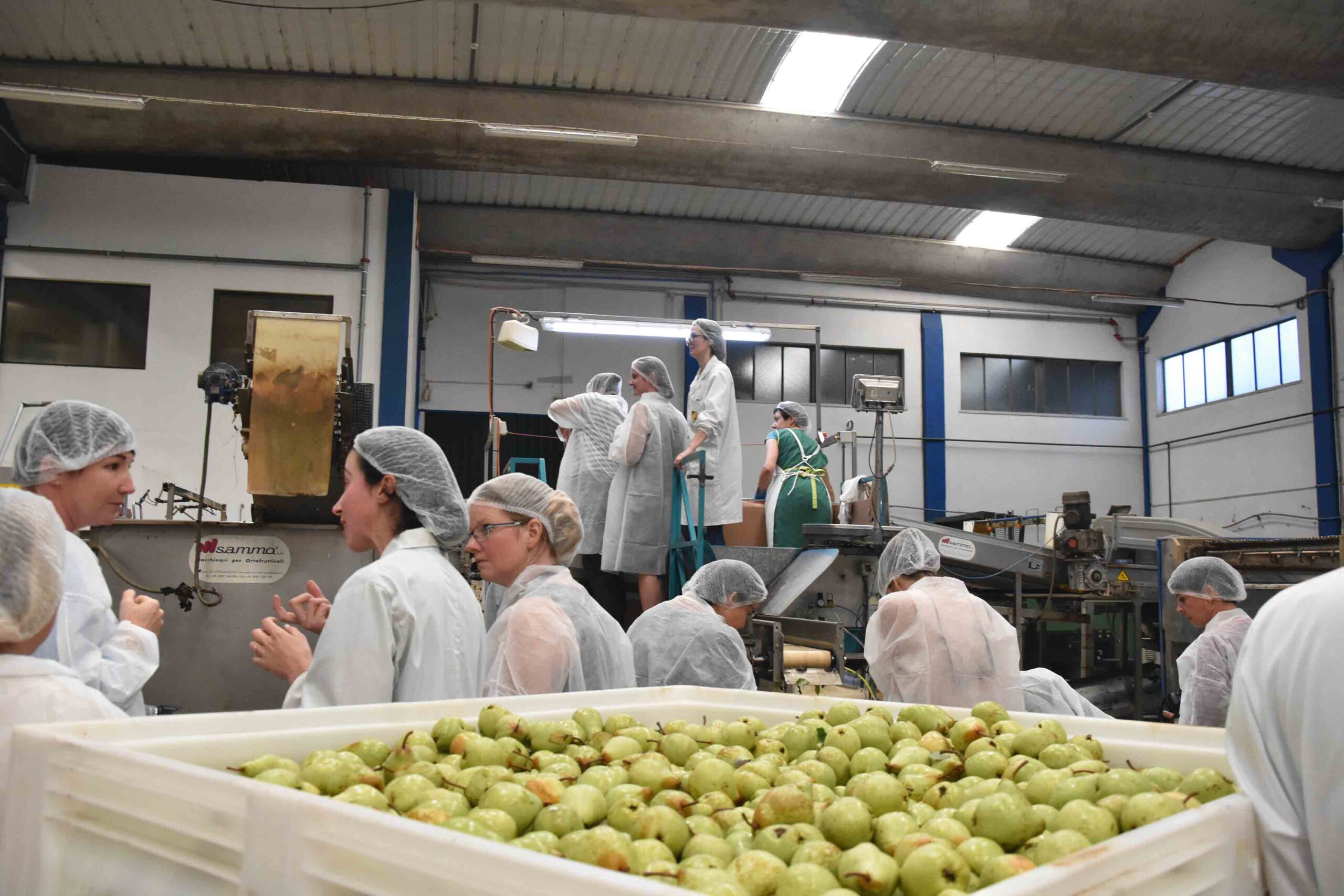 Pêra Rocha trouxe chefs, jornalistas e críticos internacionais ao Oeste