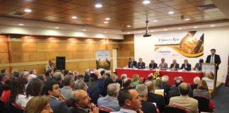 Caixas agrícolas independentes dizem-se mais resilientes a crises financeiras Gazeta das Caldas