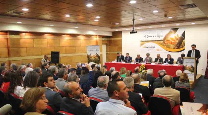 Caixas agrícolas independentes dizem-se mais resilientes a crises financeiras Gazeta das Caldas