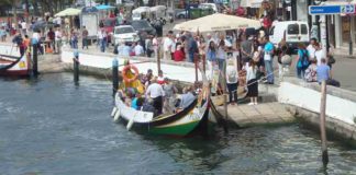 Passeio sénior com viagem em barco moliceiro Gazeta das Caldas