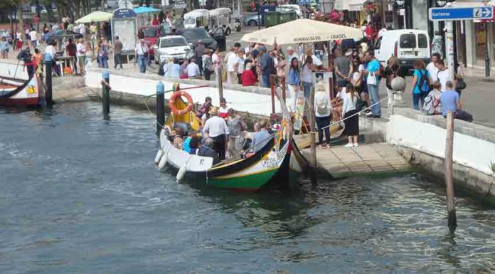 Passeio sénior com viagem em barco moliceiro Gazeta das Caldas