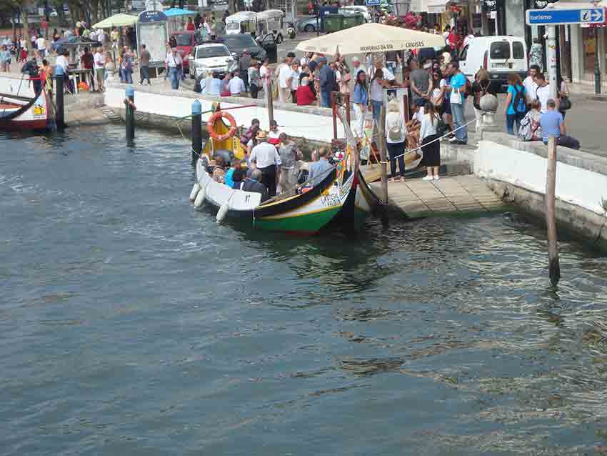 Passeio sénior com viagem em barco moliceiro