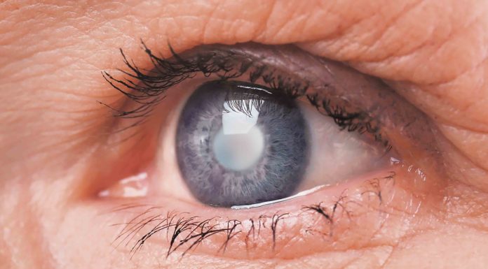 Dia Mundial da Visão assinala-se a 11 de outubro Gazeta das Caldas