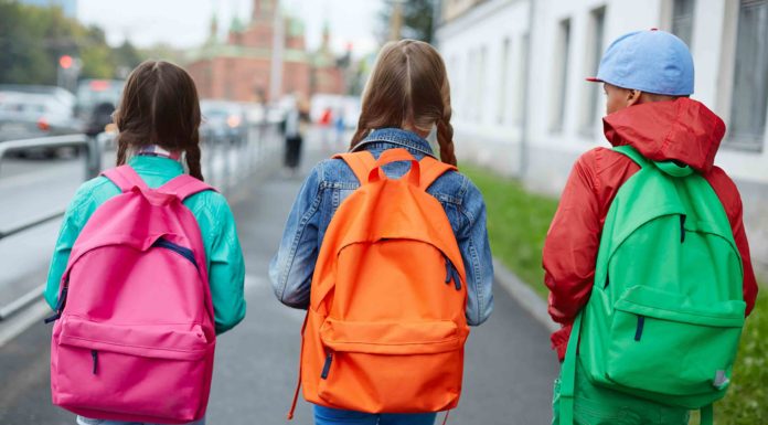 Peso das mochilas não provoca escoliose Gazeta das Caldas