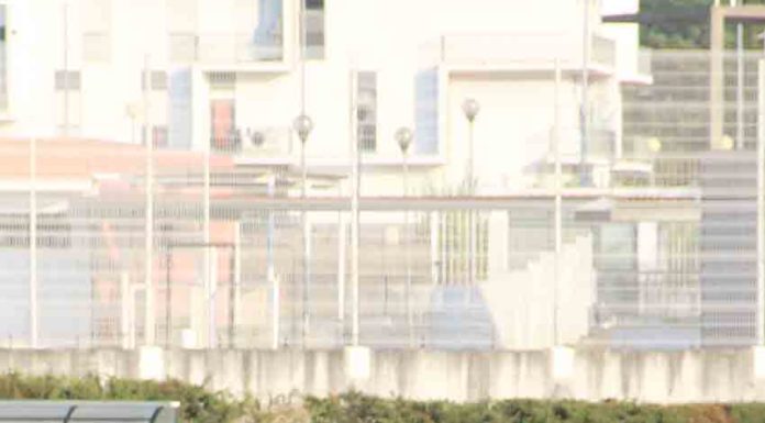 O Rugby rende homenagem à memória de “Benny” Gazeta das Caldas - Troféu Bernardo Dourado