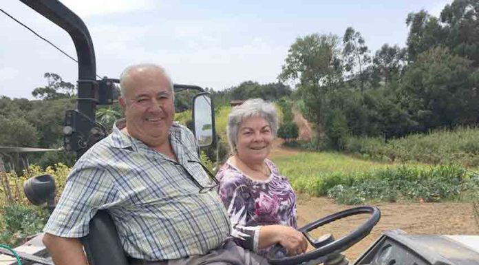 Emídio Horta quis ir para França e foi parar aos Estados Unidos Gazeta das Caldas