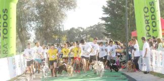 Corrida do Animal volta a Oeiras a 27 de Outubro Gazeta das Caldas - Corrida do Animal
