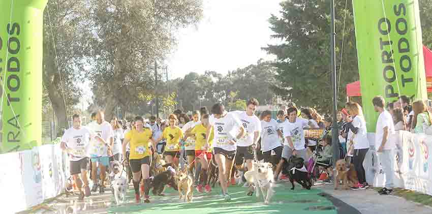 Corrida do Animal volta a Oeiras a 27 de Outubro