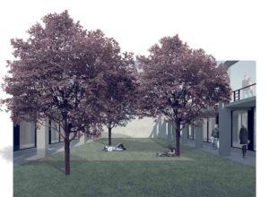 Gazeta das Caldas - SECLA