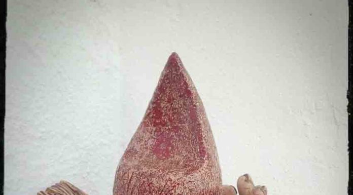 Recolha de Sangue no Chão da Parada Gazeta das Caldas