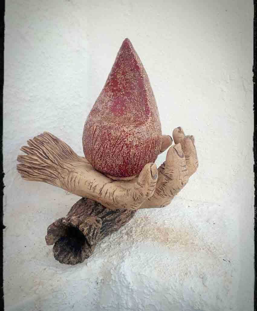 Recolha de Sangue no Chão da Parada